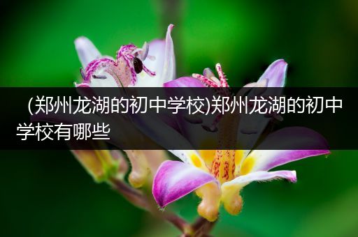 （郑州龙湖的初中学校)郑州龙湖的初中学校有哪些