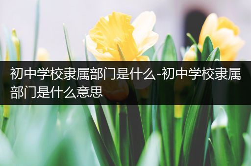 初中学校隶属部门是什么-初中学校隶属部门是什么意思