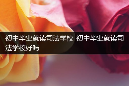 初中毕业就读司法学校_初中毕业就读司法学校好吗