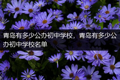青岛有多少公办初中学校，青岛有多少公办初中学校名单