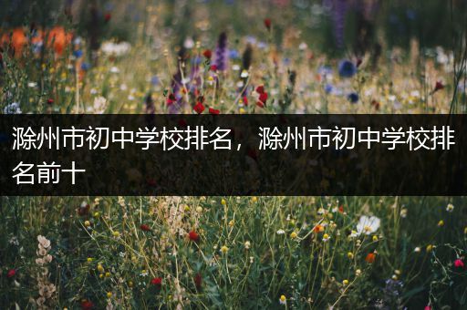 滁州市初中学校排名，滁州市初中学校排名前十