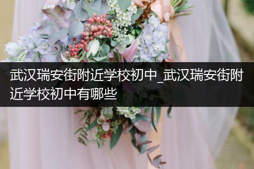 武汉瑞安街附近学校初中_武汉瑞安街附近学校初中有哪些