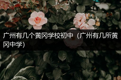 广州有几个黄冈学校初中（广州有几所黄冈中学）