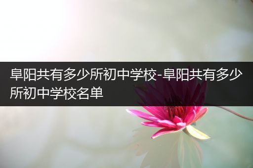 阜阳共有多少所初中学校-阜阳共有多少所初中学校名单