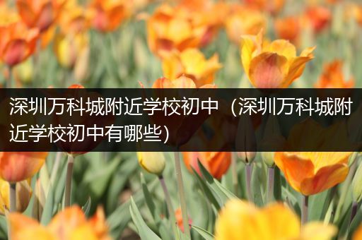 深圳万科城附近学校初中（深圳万科城附近学校初中有哪些）