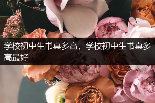 学校初中生书桌多高，学校初中生书桌多高最好