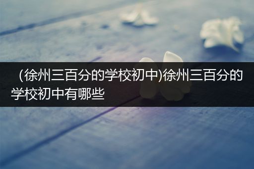 （徐州三百分的学校初中)徐州三百分的学校初中有哪些