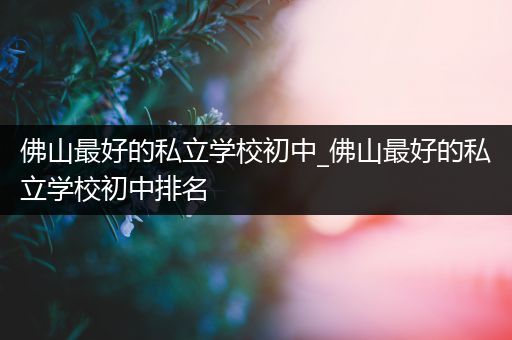 佛山最好的私立学校初中_佛山最好的私立学校初中排名