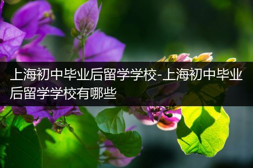 上海初中毕业后留学学校-上海初中毕业后留学学校有哪些