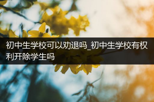 初中生学校可以劝退吗_初中生学校有权利开除学生吗