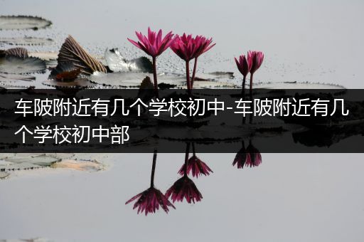 车陂附近有几个学校初中-车陂附近有几个学校初中部