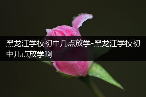 黑龙江学校初中几点放学-黑龙江学校初中几点放学啊