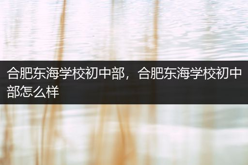 合肥东海学校初中部，合肥东海学校初中部怎么样