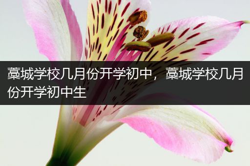 藁城学校几月份开学初中，藁城学校几月份开学初中生
