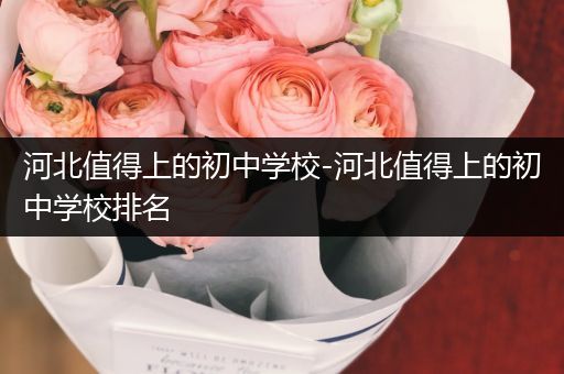 河北值得上的初中学校-河北值得上的初中学校排名