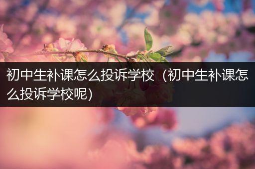 初中生补课怎么投诉学校（初中生补课怎么投诉学校呢）