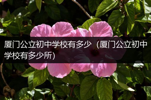 厦门公立初中学校有多少（厦门公立初中学校有多少所）