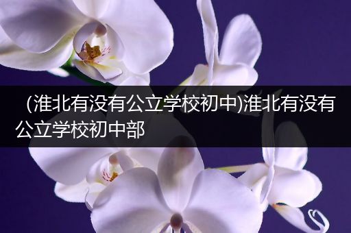 （淮北有没有公立学校初中)淮北有没有公立学校初中部