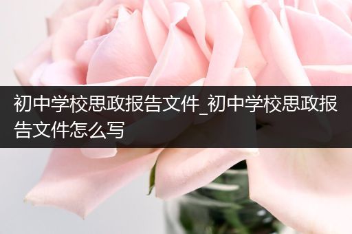 初中学校思政报告文件_初中学校思政报告文件怎么写