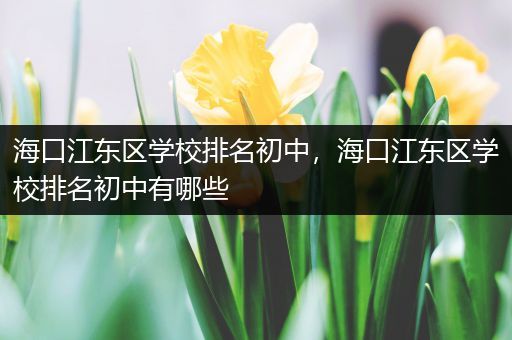 海口江东区学校排名初中，海口江东区学校排名初中有哪些