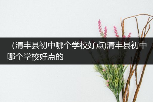 （清丰县初中哪个学校好点)清丰县初中哪个学校好点的