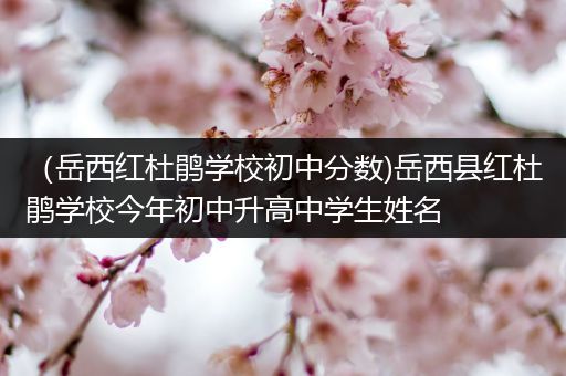 （岳西红杜鹃学校初中分数)岳西县红杜鹃学校今年初中升高中学生姓名