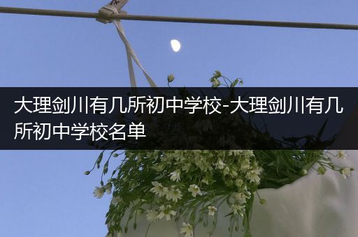 大理剑川有几所初中学校-大理剑川有几所初中学校名单