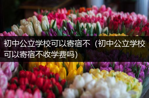 初中公立学校可以寄宿不（初中公立学校可以寄宿不收学费吗）