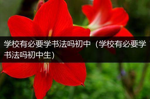 学校有必要学书法吗初中（学校有必要学书法吗初中生）