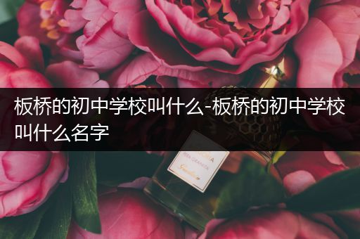 板桥的初中学校叫什么-板桥的初中学校叫什么名字