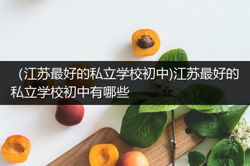 （江苏最好的私立学校初中)江苏最好的私立学校初中有哪些