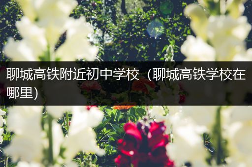 聊城高铁附近初中学校（聊城高铁学校在哪里）