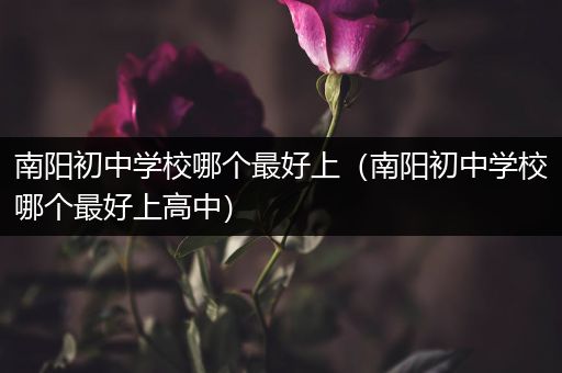 南阳初中学校哪个最好上（南阳初中学校哪个最好上高中）