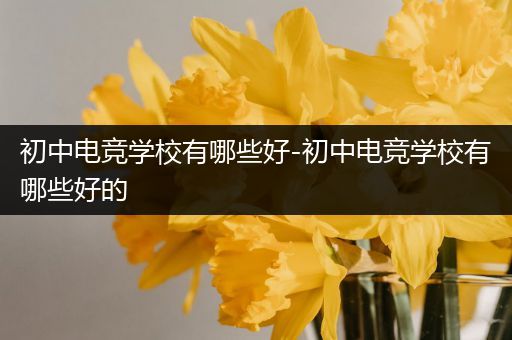 初中电竞学校有哪些好-初中电竞学校有哪些好的