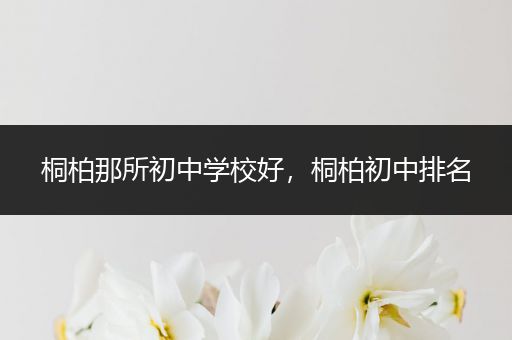 桐柏那所初中学校好，桐柏初中排名