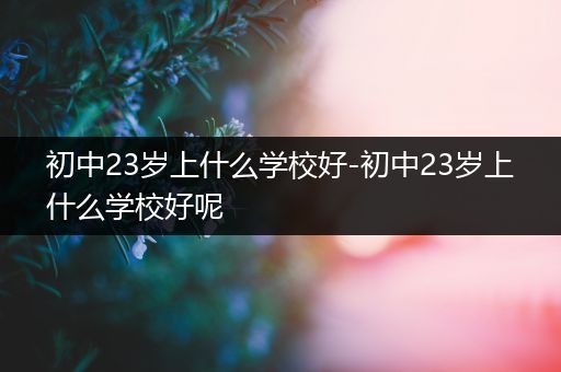 初中23岁上什么学校好-初中23岁上什么学校好呢