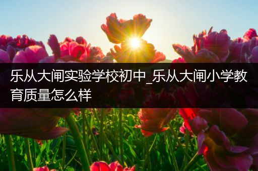 乐从大闸实验学校初中_乐从大闸小学教育质量怎么样