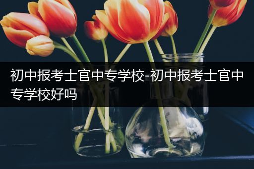 初中报考士官中专学校-初中报考士官中专学校好吗