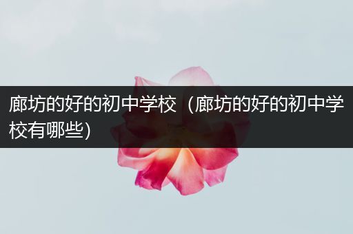 廊坊的好的初中学校（廊坊的好的初中学校有哪些）