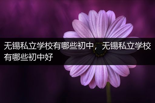 无锡私立学校有哪些初中，无锡私立学校有哪些初中好