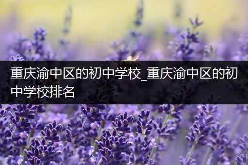 重庆渝中区的初中学校_重庆渝中区的初中学校排名