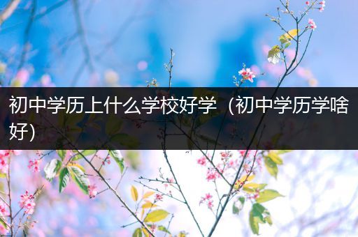 初中学历上什么学校好学（初中学历学啥好）