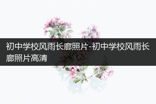 初中学校风雨长廊照片-初中学校风雨长廊照片高清