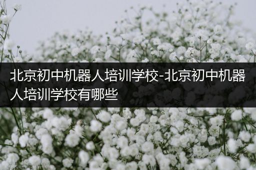 北京初中机器人培训学校-北京初中机器人培训学校有哪些