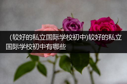 （较好的私立国际学校初中)较好的私立国际学校初中有哪些