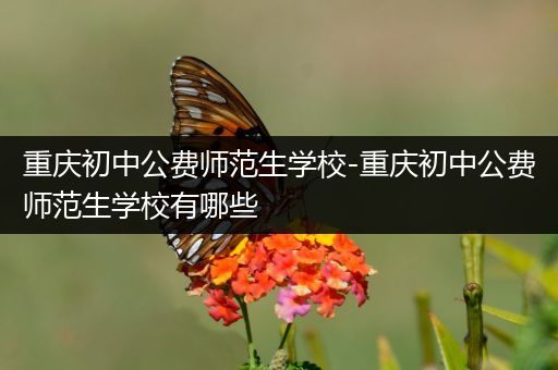 重庆初中公费师范生学校-重庆初中公费师范生学校有哪些