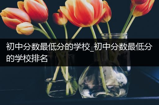 初中分数最低分的学校_初中分数最低分的学校排名