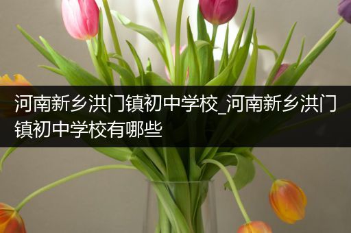 河南新乡洪门镇初中学校_河南新乡洪门镇初中学校有哪些