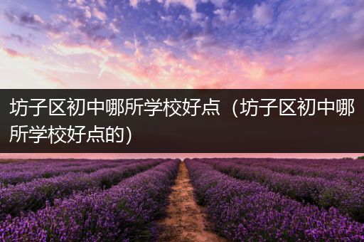坊子区初中哪所学校好点（坊子区初中哪所学校好点的）