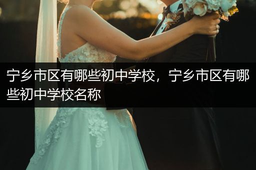 宁乡市区有哪些初中学校，宁乡市区有哪些初中学校名称